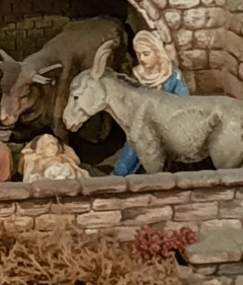 Liberecký kraj připravuje vánoční akce