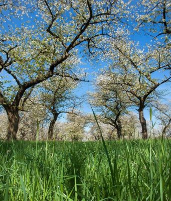 Vyfotografujte své zamilované místo a soutěžte s Libereckým krajem o ceny